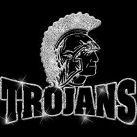 GLT32 SILVER GLITTER Thumbnail